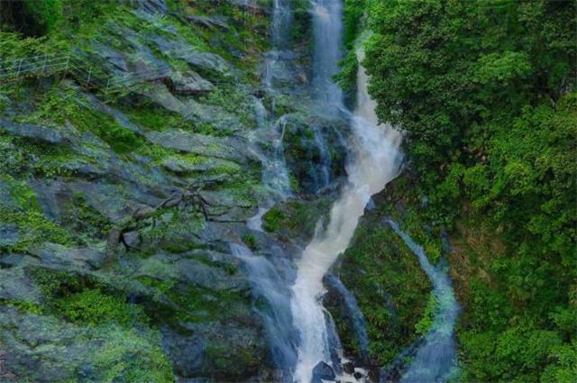 上海金山重拳打击整治引流“小贴纸”顽疾